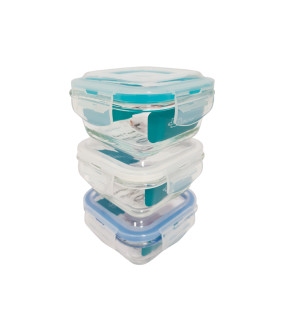 CAIXAS PARA ALIMENTOS 24112 QUA.300ML